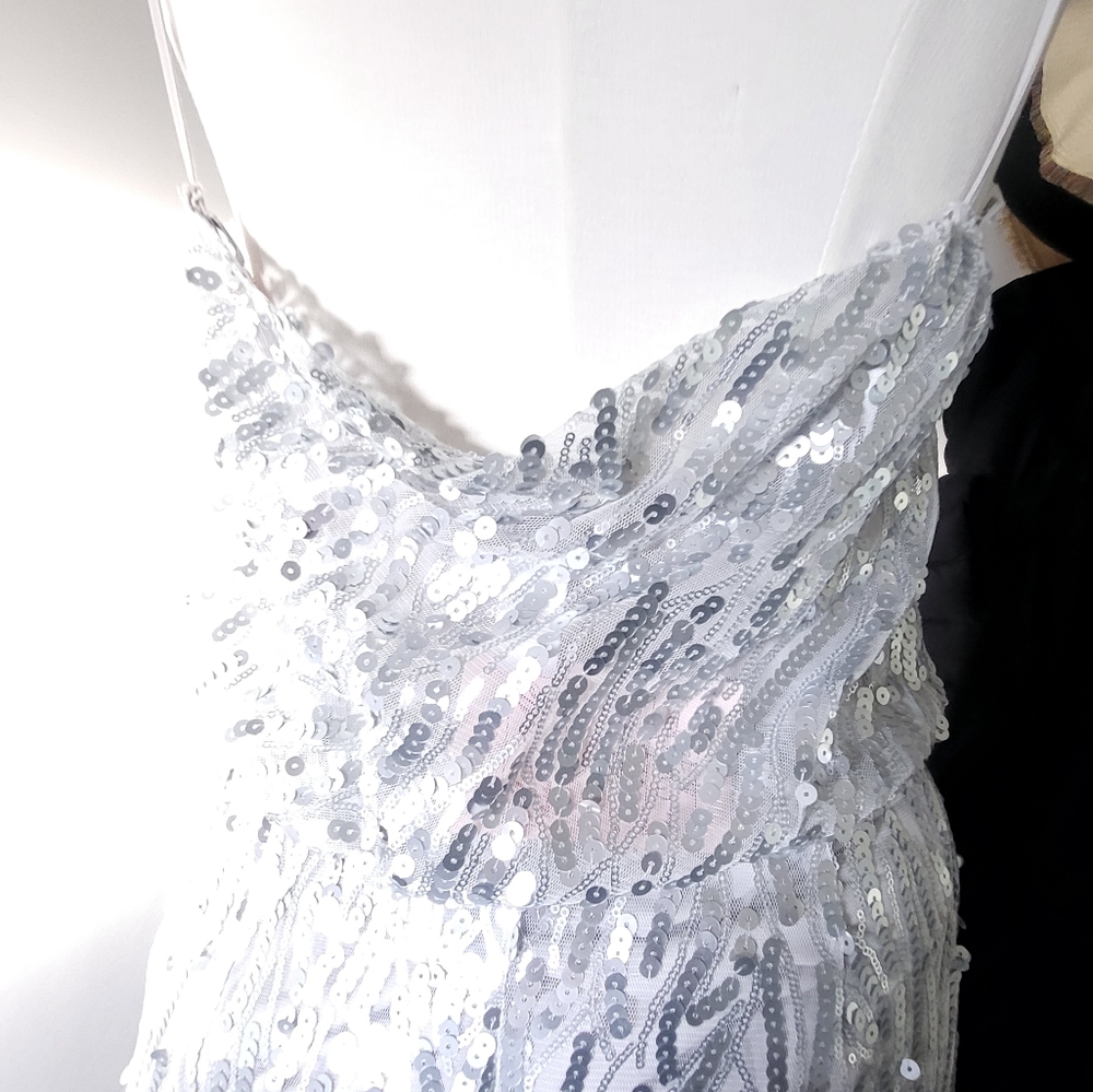 Silver Dress - Picture 3 of 3